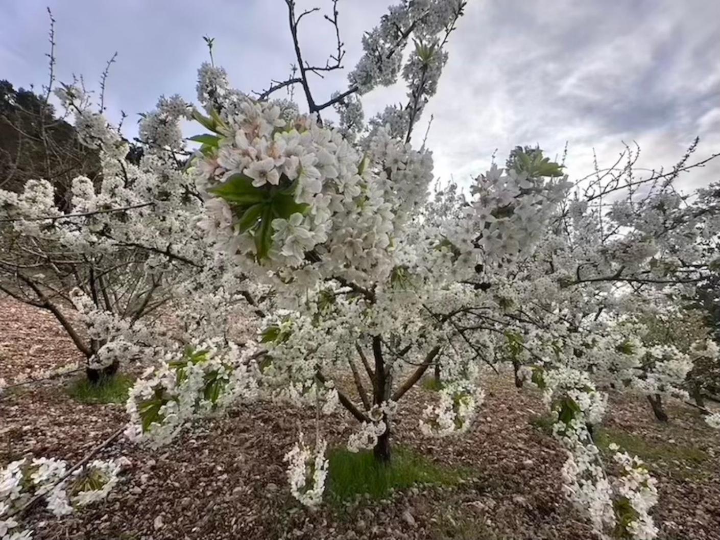 Agriturismo Serra Moneta Santo Stefano Quisquina Kültér fotó