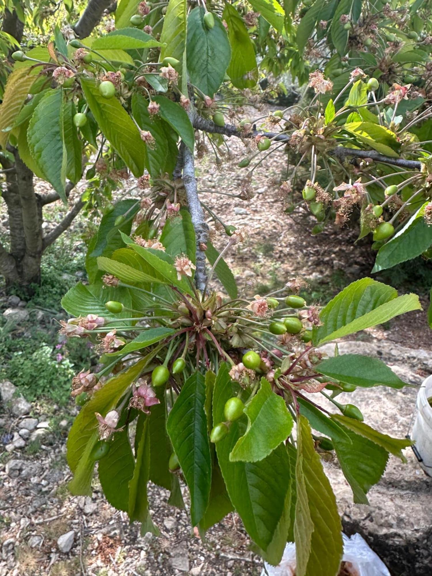 Agriturismo Serra Moneta Santo Stefano Quisquina Kültér fotó