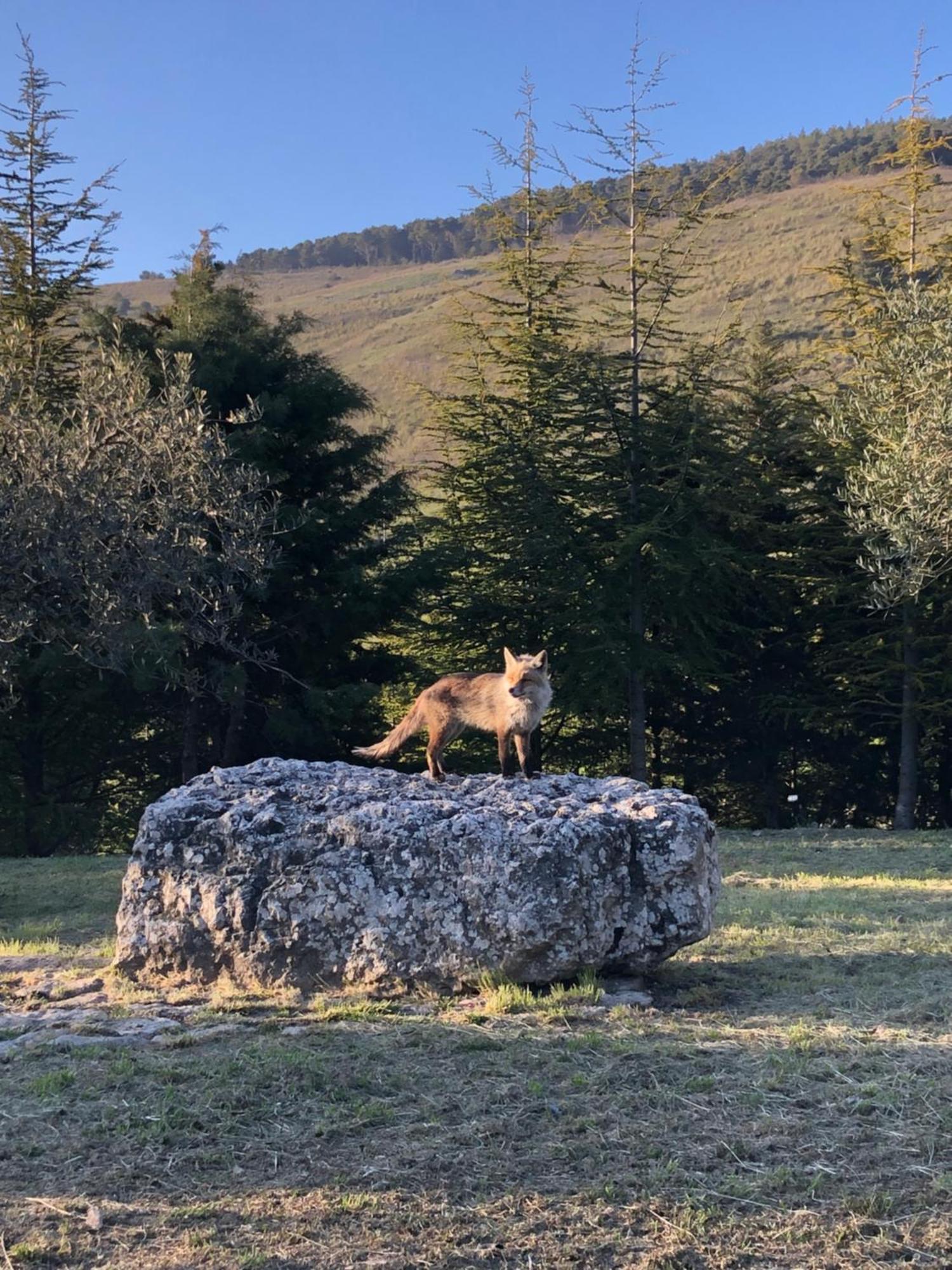 Agriturismo Serra Moneta Santo Stefano Quisquina Kültér fotó